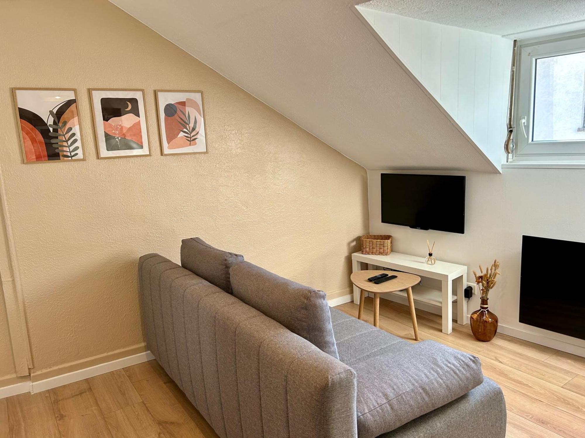 Douce Agathe - Duo-Groupe, Chaleureux, Tram 200M, Centre 10Min Apartment Strasbourg Exterior photo